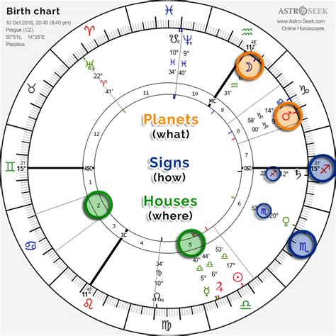Zodiac Birth Chart Meaning