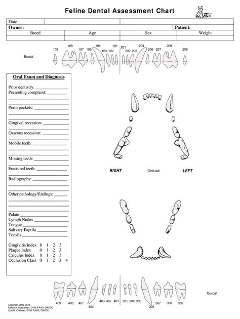 Zoetis Dental Chart