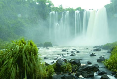 zona de los tuxtlas veracruz