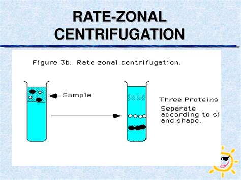 Zonal Centrifugation Ppt