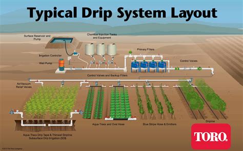Zoned Drip Irrigation System