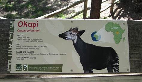 Zoo Animal Placard Peregrination Bioparque Amaru In Cuenca