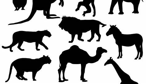 Zoo Animal Silhouettes isolated on white - Buy this stock illustration