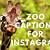 zoo captions for instagram