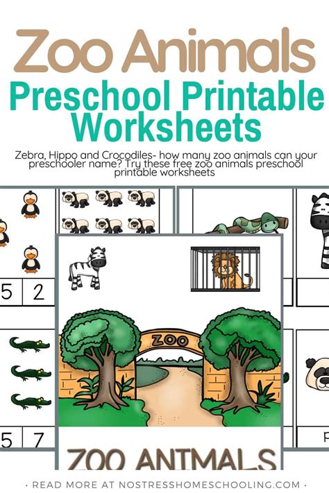 zoo animal worksheets for kids