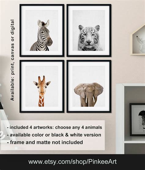 Zoo Animals Wall Art