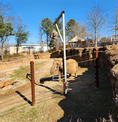 zoo atlanta free day 2023