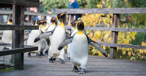 zoo basel parkplatz