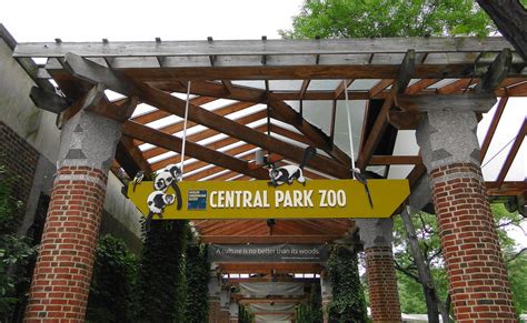 zoo central park hours open