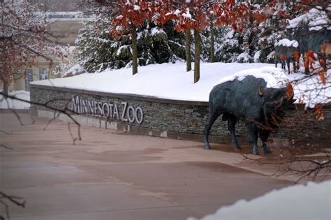 Zoo Director Job Description