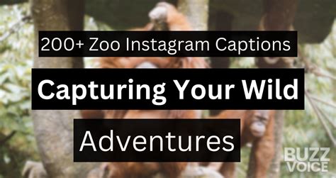 Zoo Instagram Captions Funny