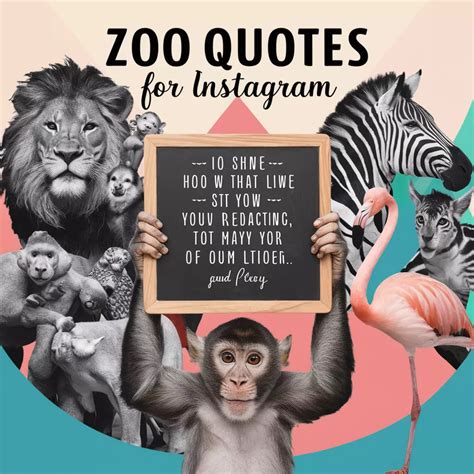 Zoo Instagram Pics