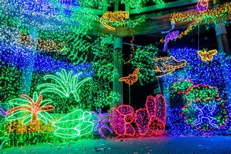 zoo lights 2023 oregon