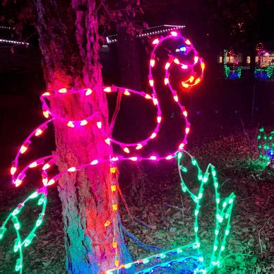 Zoo Lights Madison Wi