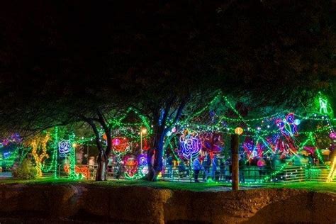 Zoo Lights Reid Park