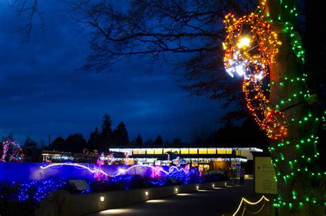 Wow! Seattle's Zoo Lights: A Magical Winter Wonderland Awaits