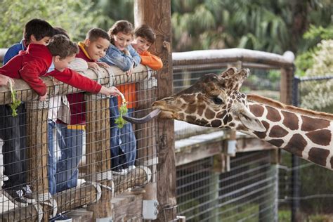 zoo near me open