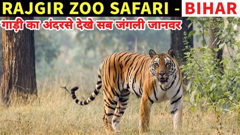 zoo safari ticket booking