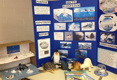 Zoo Science Fair Ideas