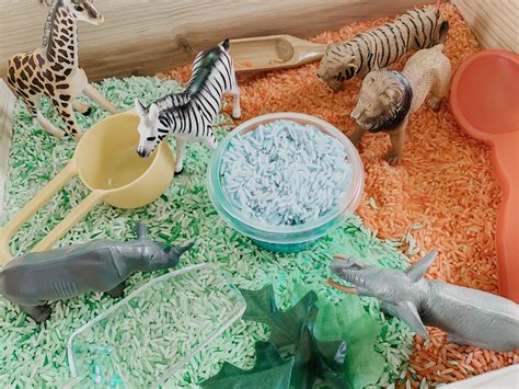 Zoo Sensory Bin