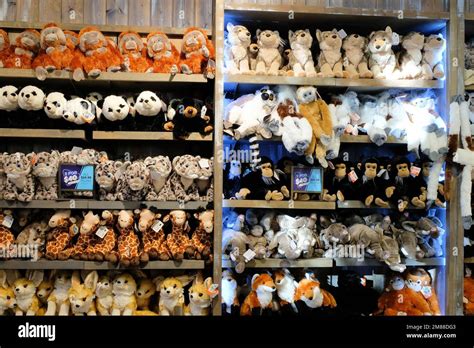 Zoo Shop Plush