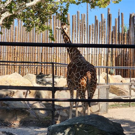 zoo tickets albuquerque