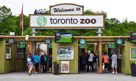 zoo toronto ontario canadian
