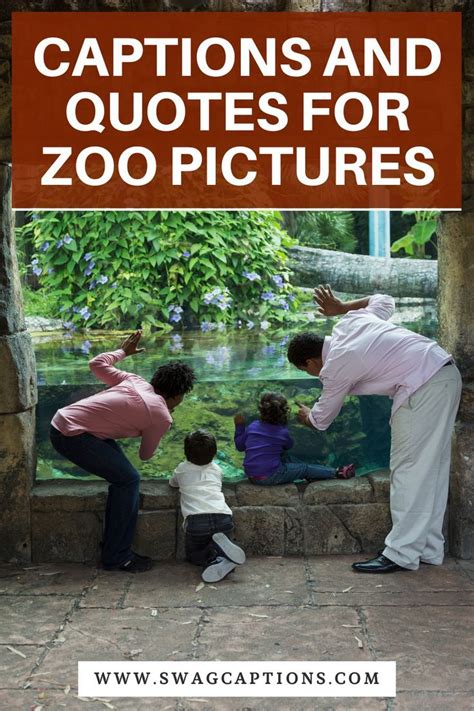 Zoo Trip Quotes