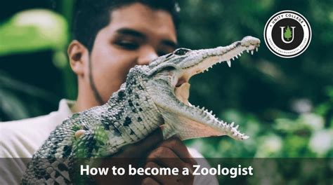 zoologist requirements in singapore