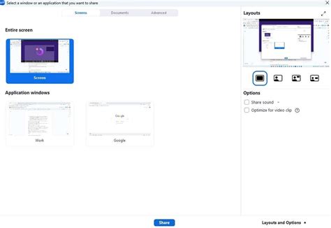 Zoom Annotation Tools Ipad