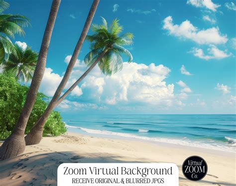 Zoom Background Beach Video