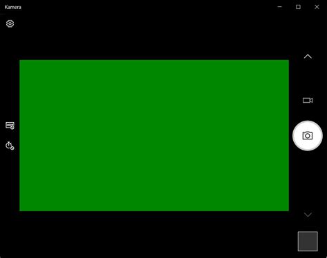 Zoom Camera Showing Green