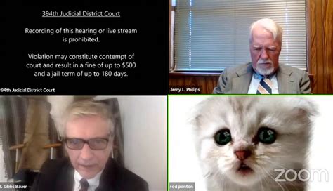 Zoom Cat Video Lawyer