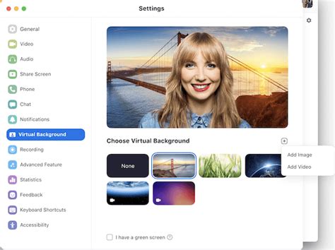 Zoom Change Virtual Background During Meeting
