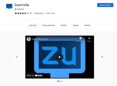 Zoom Extension In Chrome