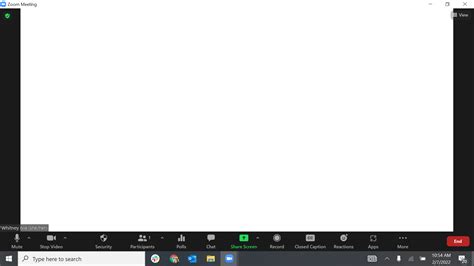 Zoom Screen Is Blank