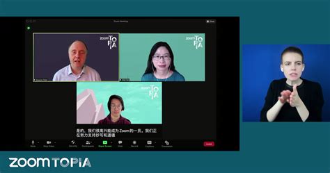 Zoom Translation Cost