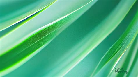 Zoom Virtual Green Background Images
