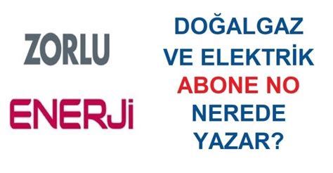 zorlu enerji doğalgaz abonelik