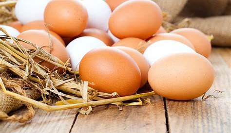 Das solltest du über Eier wissen | eatsmarter.de #ernährung #infografik