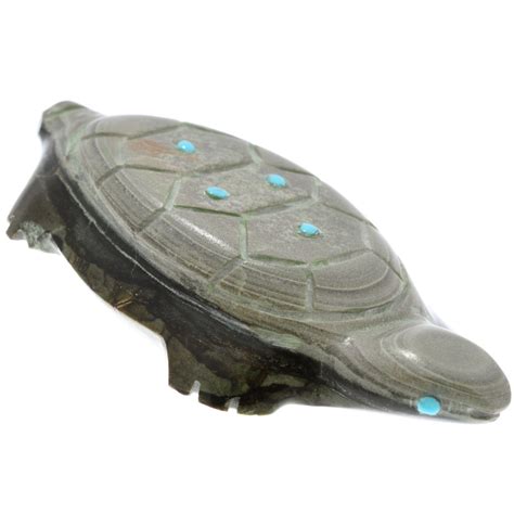 Zuni Turtle Meaning