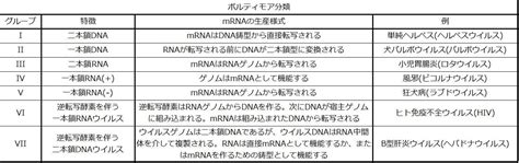 ボルティモア分類