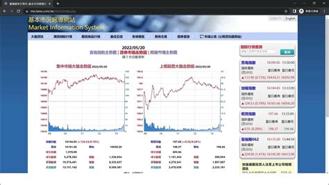 台灣證券交易所-基本市況報導