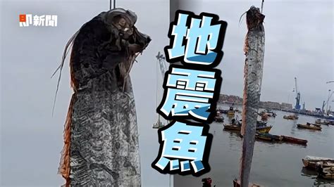 地震魚傳說