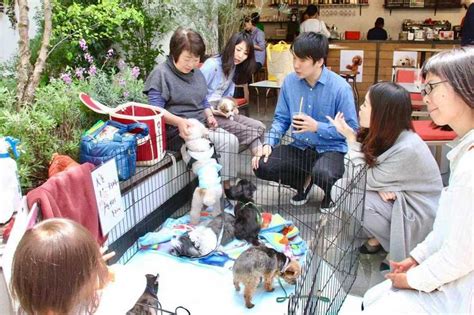 岡山で活動する犬の保護団体