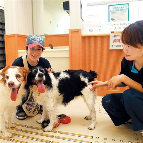 岡山県犬の愛護センター