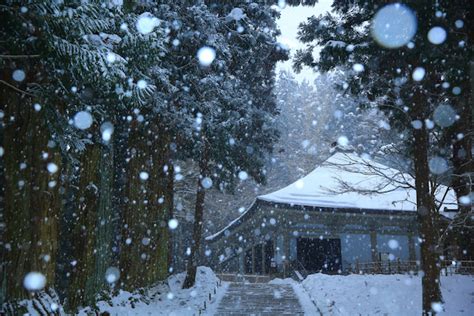 岩手県の雪景色