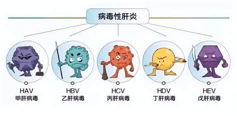 病毒性肝炎分类