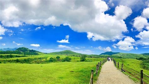 陽明山即時影像監控系統