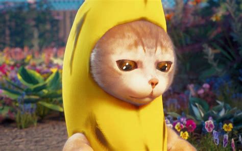 香蕉猫图片